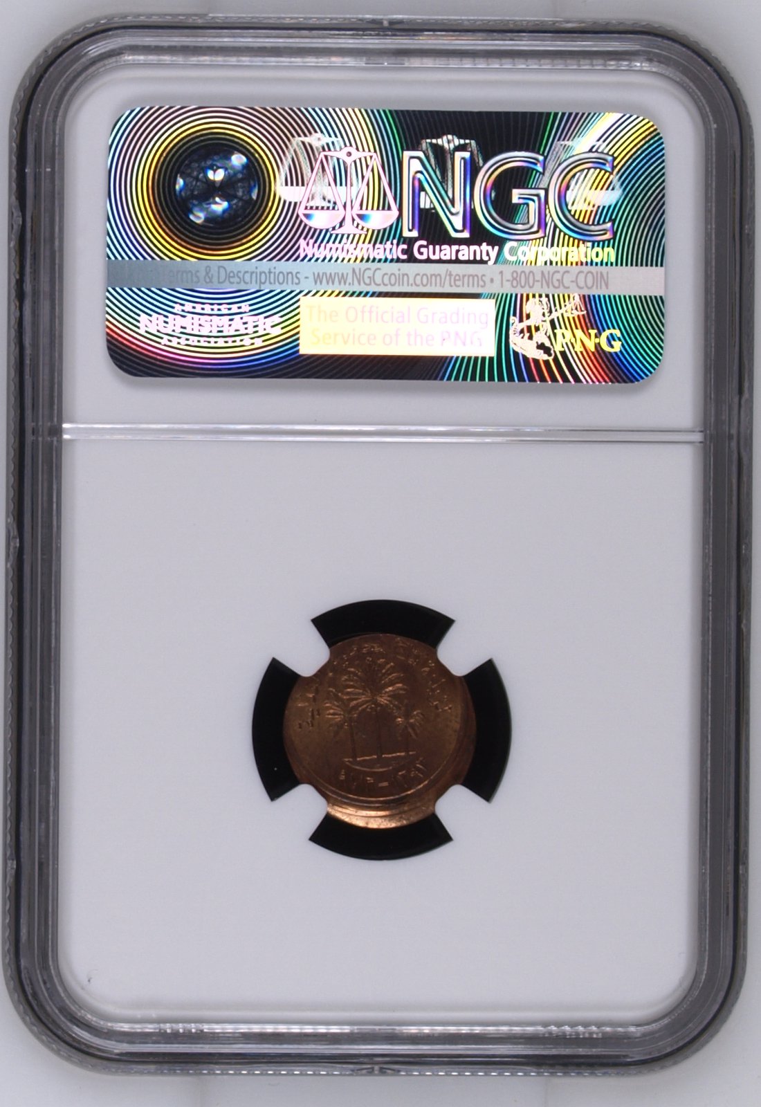 Fils 1973 F.A.O. Mint Error reverse
